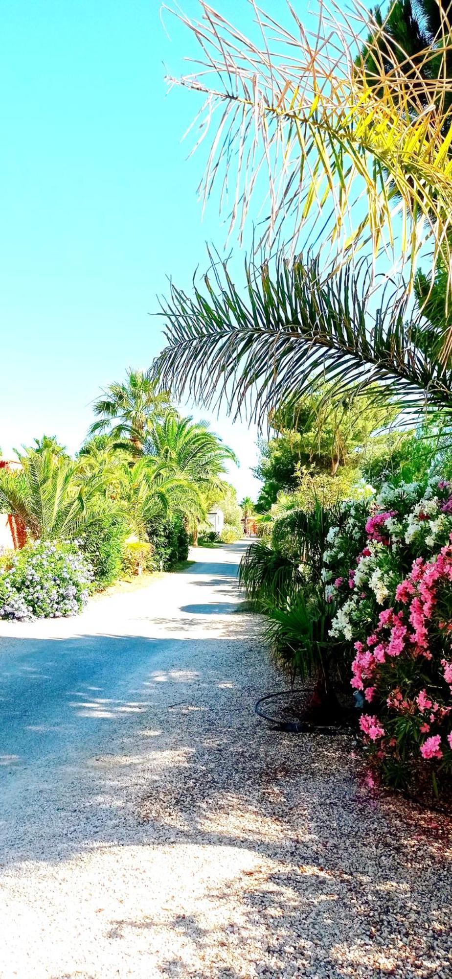 Happymobilhome Argeles-Sur-Mer -Plage A 500M- Camping 4 Etoiles Del Mar מראה חיצוני תמונה